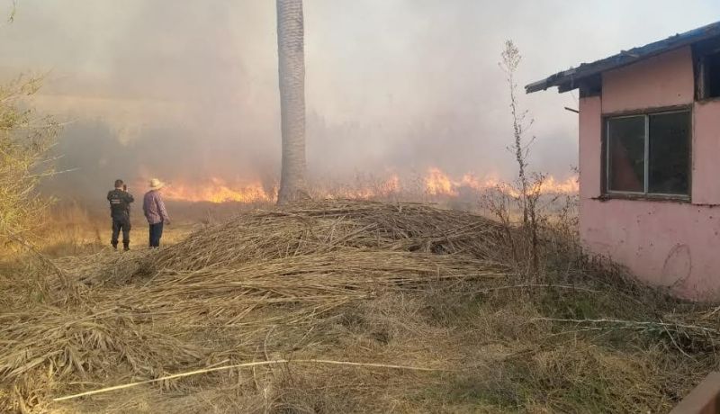 Insta a PC y a los bomberos a no bajar la guardia cuando cambia la temperatura. Insta a PC y a los bomberos a no bajar la guardia cuando cambia la temperatura.