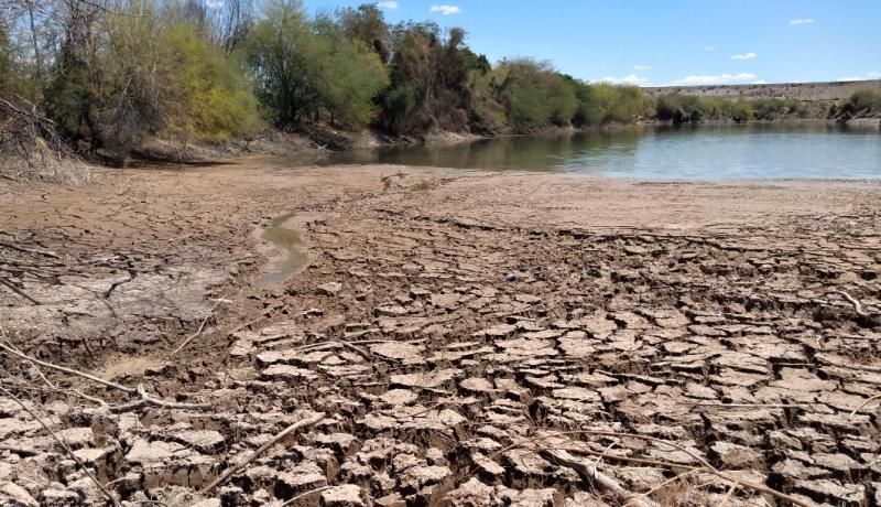 Baja 40% nivel del agua en humedal de La Sauceda
