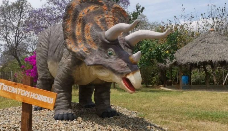 En Oaxaca puedes convivir con dinosaurios