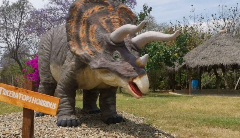 En Oaxaca puedes convivir con dinosaurios En Oaxaca puedes convivir con dinosaurios