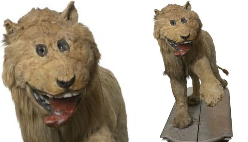 León disecado en Suecia se hace viral por feo León disecado en Suecia se hace viral por feo
