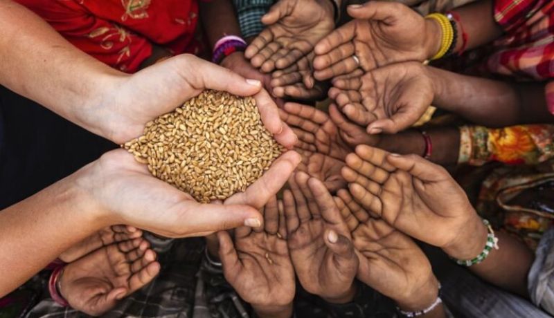 50 Reasons to alimentos in 2021